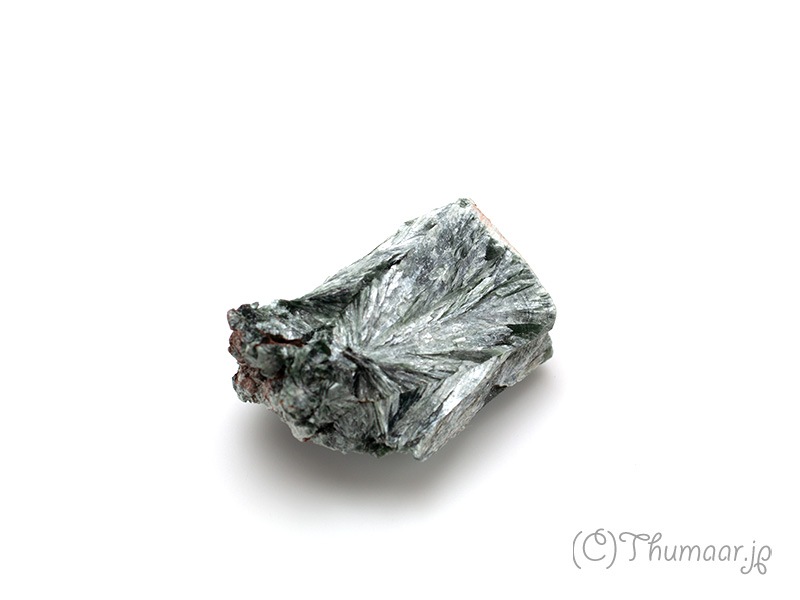 ����ե��ʥ��Ȥθ��У�