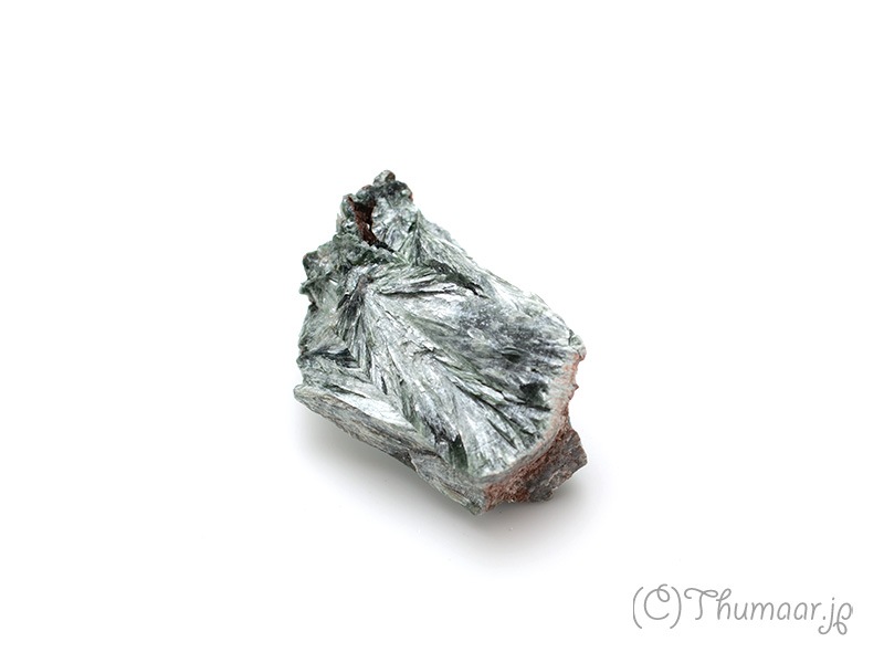 ����ե��ʥ��Ȥθ��У�