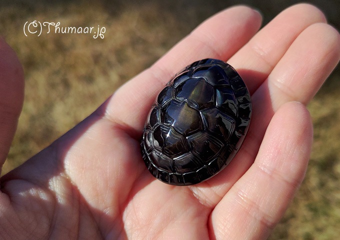 ���֥��ǥ�����ε�