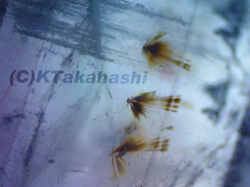 �֥ե���ȥࡦ���������ʥ�������֥쥹��åȡ�8mm��