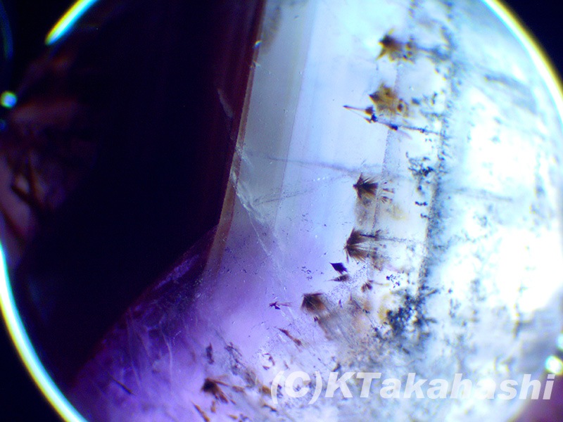 �֥ե���ȥࡦ���������ʥ�������֥쥹��åȡ�10mm��