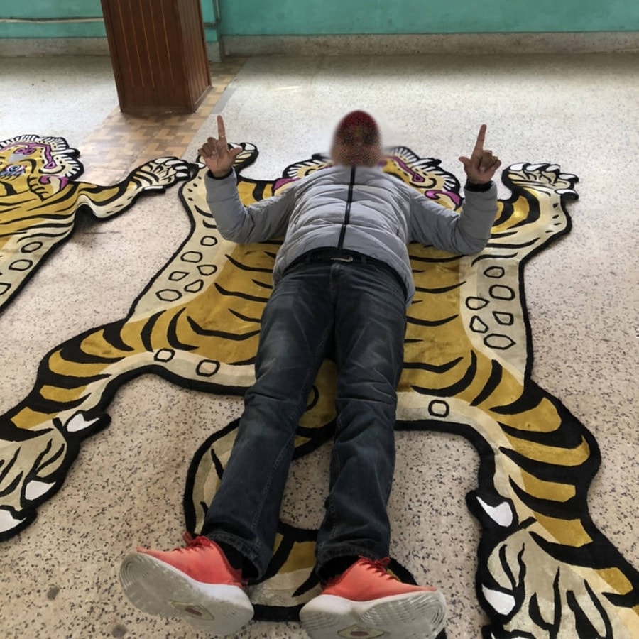 Tibetan Tiger Rug (XXXLサイズ シルク 017) チベタンタイガー