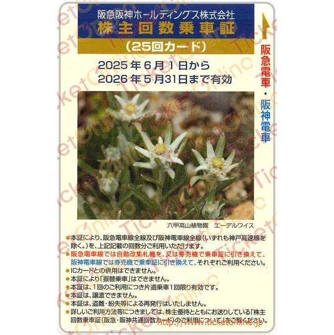 阪急阪神ホールディングス　株主優待回数乗車証「25回カード」1枚　～26年5月