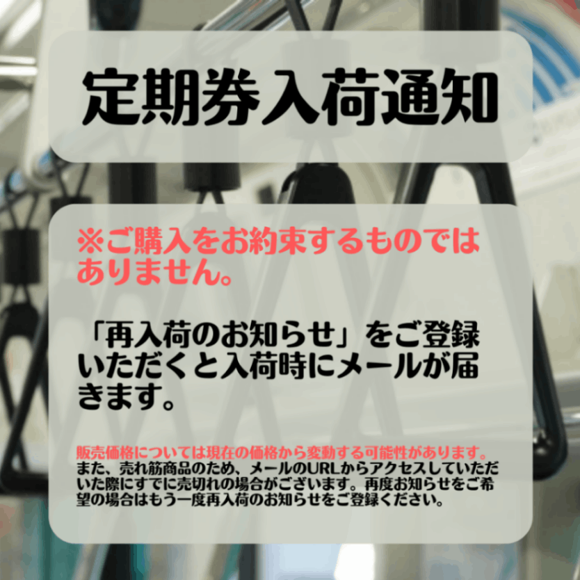【西武電鉄】株主優待乗車証（定期）電車全線　1枚　～25年11月