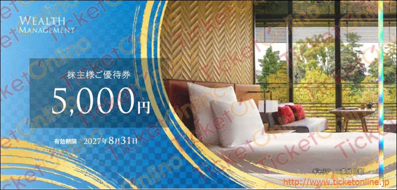 ウェルス・マネジメント株主優待券（5000円）1枚　～27年8月