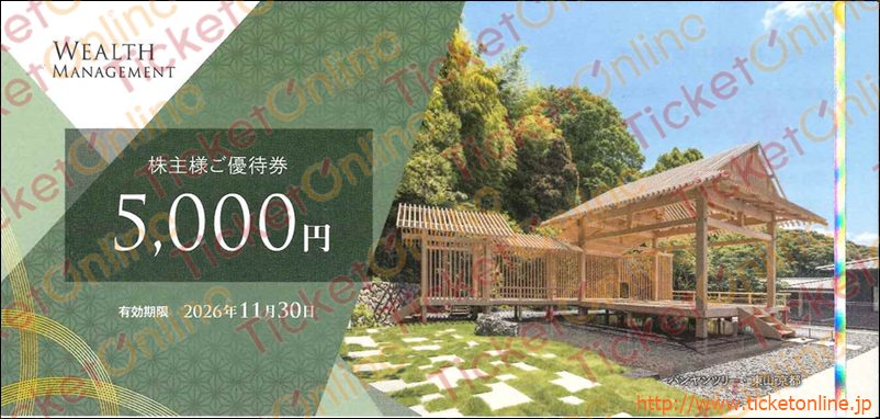 ウェルス・マネジメント株主優待券（5000円）1枚　～26年11月