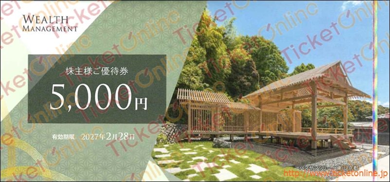 ウェルス・マネジメント株主優待券（5000円）1枚　～27年2月