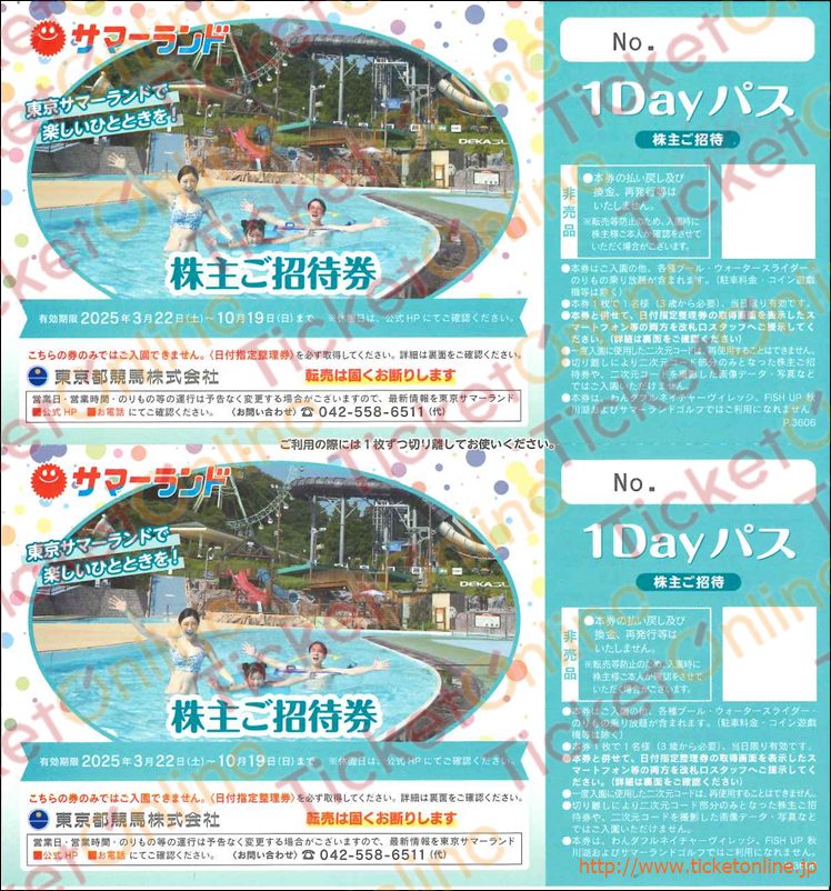 東京サマーランド株主優待（招待券2枚）2枚セット　～25年10月19日