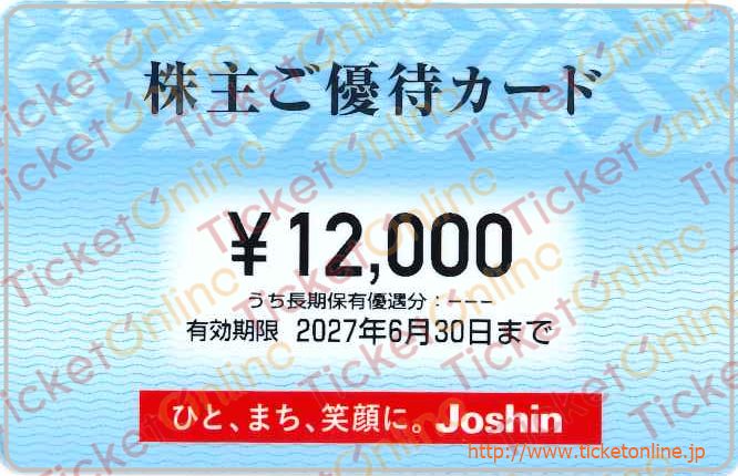 上新電機株主優待券（12000円）1枚　～27年6月