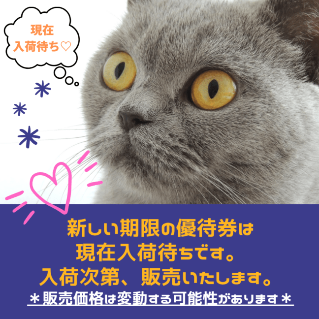 ツルハ株主優待券　商品券（500円）1枚　～26年2月