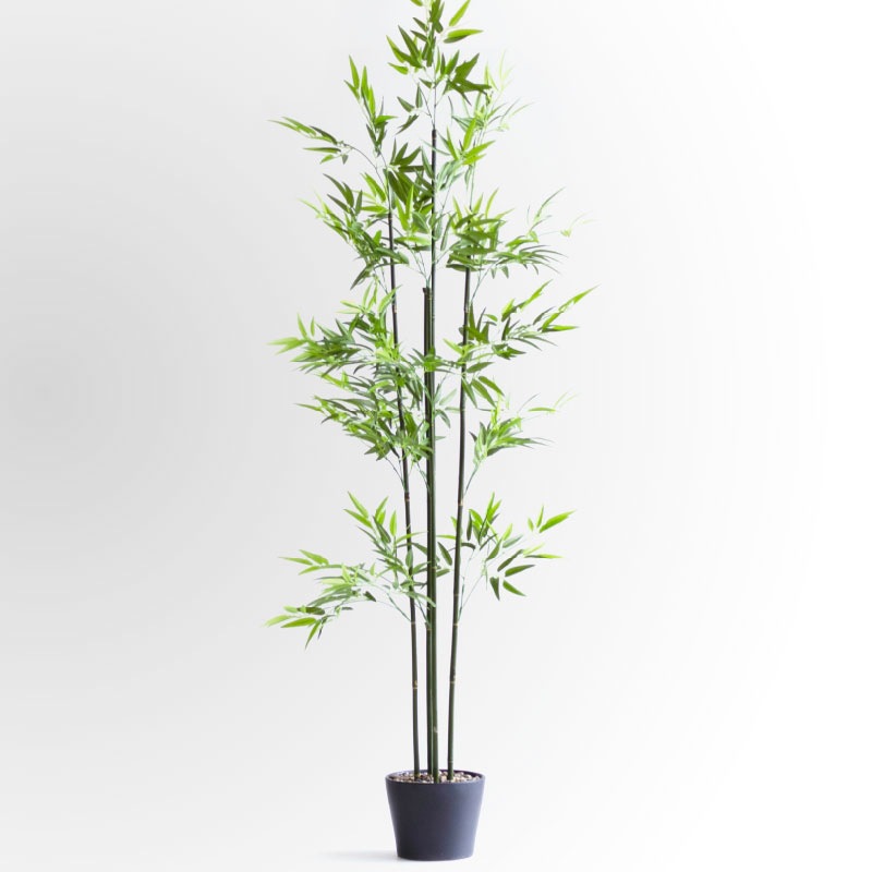 インテリアグリーン バンブーPOT F304-286/729Lの通販｜東京