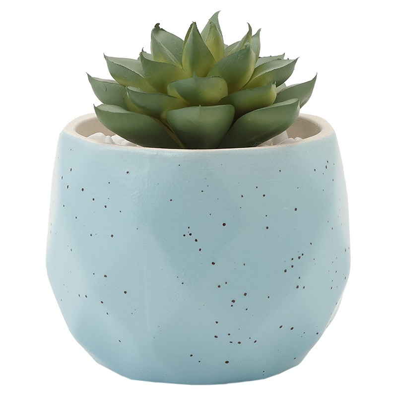 インテリアグリーン 多肉 エケベリアBLダイヤ BF-1803287の通販｜東京