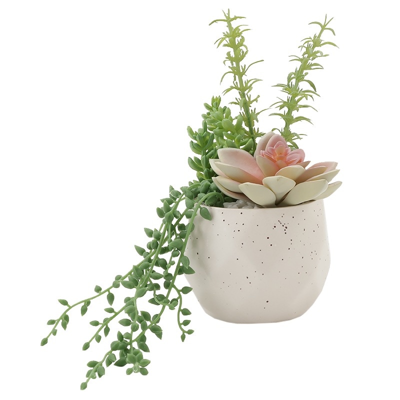 インテリアグリーン 多肉 寄せ植え WHダイヤ BF-1803318 の通販｜東京