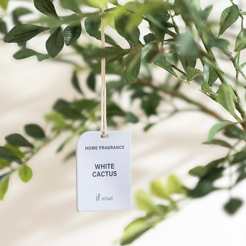 次回入荷未定】エアーフレッシュナー IF NORDIC WHITE CACTUSの通販