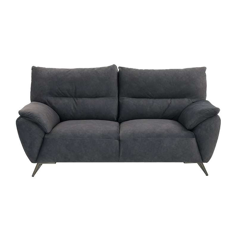 2人掛ソファ DENNIE KD XY-SF091 RIELY455 FAB DGY【大型商品配送】の