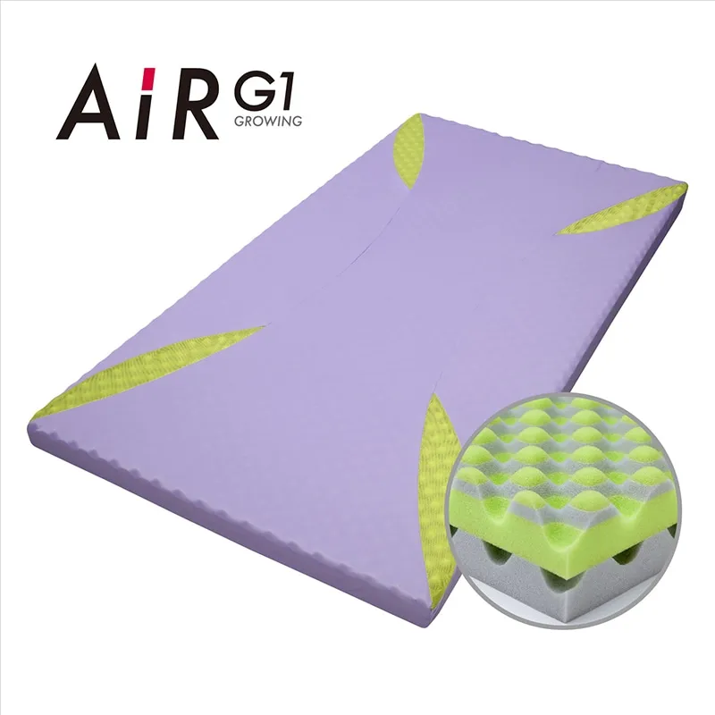東京インテリア×西川コラボ　AIRマットレス　シングル2枚セット(カバー付き) 西川AiRの商品一覧｜東京インテリア公式通販