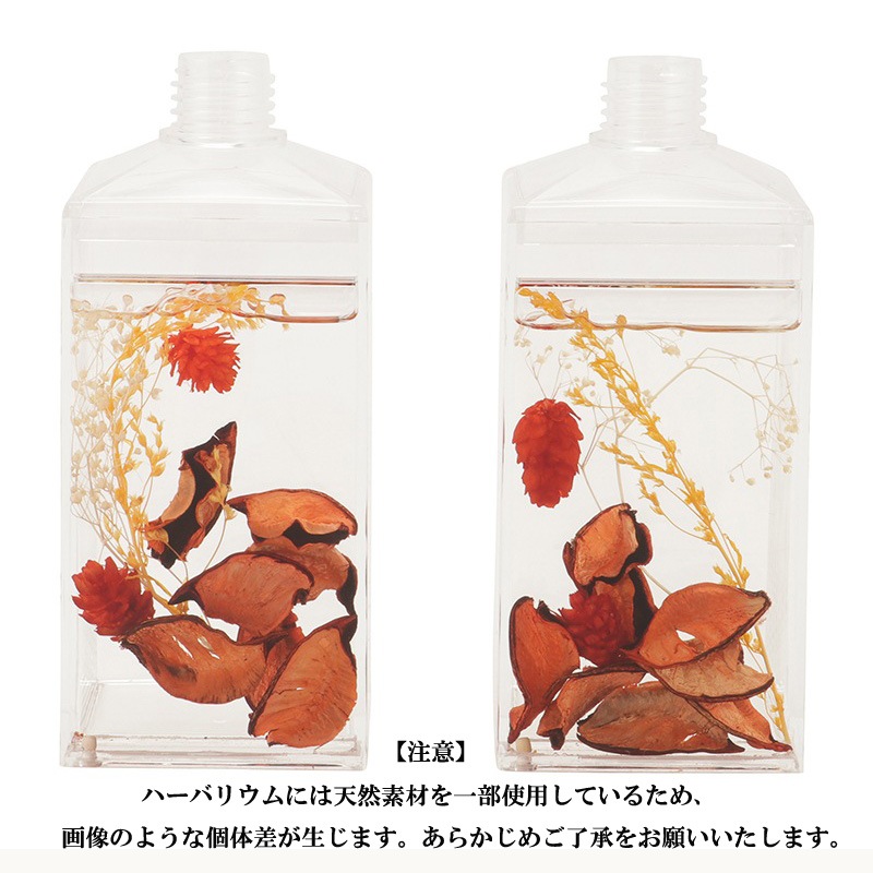 ボンベイ 限定品 ボトル ディスプレイ 2daf744f8f2e6385b3ec76f111e05d