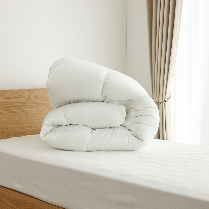 羽毛布団 ASフィニアル レギュラー フランスベッド ※納期2週間～の通販