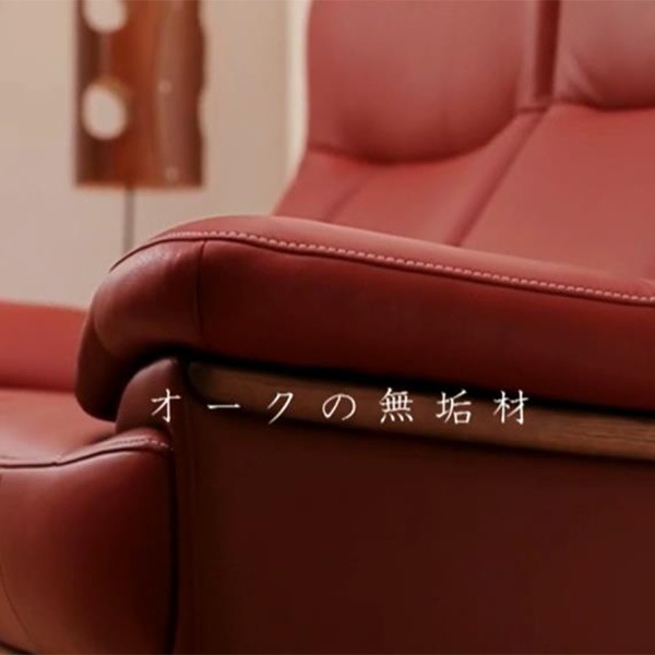 2.5人掛ソファ ZETA neo ロータイプ(SH390mm) Z175Model 張地