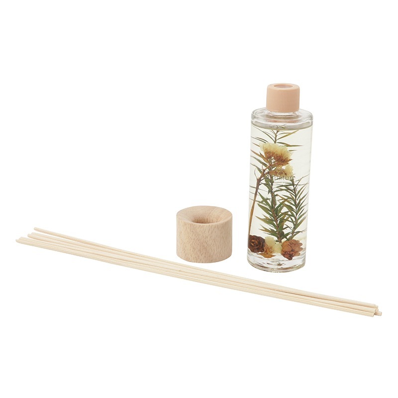 リープリーダーBセット リープリーダーBセット リープリーダーBセット リープリーダーBセット