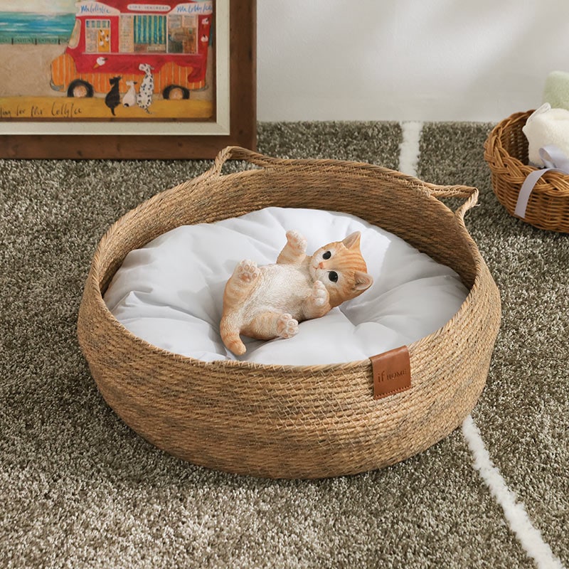 洗えるベッド &ifオールシーズンCAT BEの通販｜東京インテリア公式通販