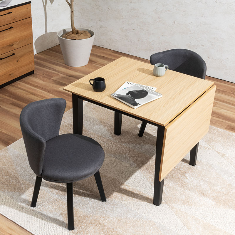 東京インテリア リビングダイニング3点セット③テーブル ダイニング3点セット アシュリー テーブルDT EXT BK/OAK + チェアDC BK