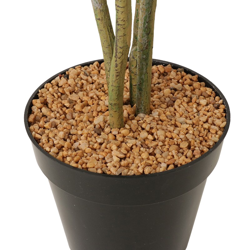 インテリアグリーン IF オリーブツリー 153 BK 【if Home】の通販