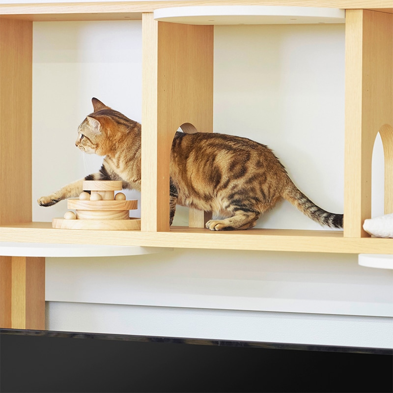 テレビ台 ニャコモ NCM-1813H NA 白井産業【お客様組立品