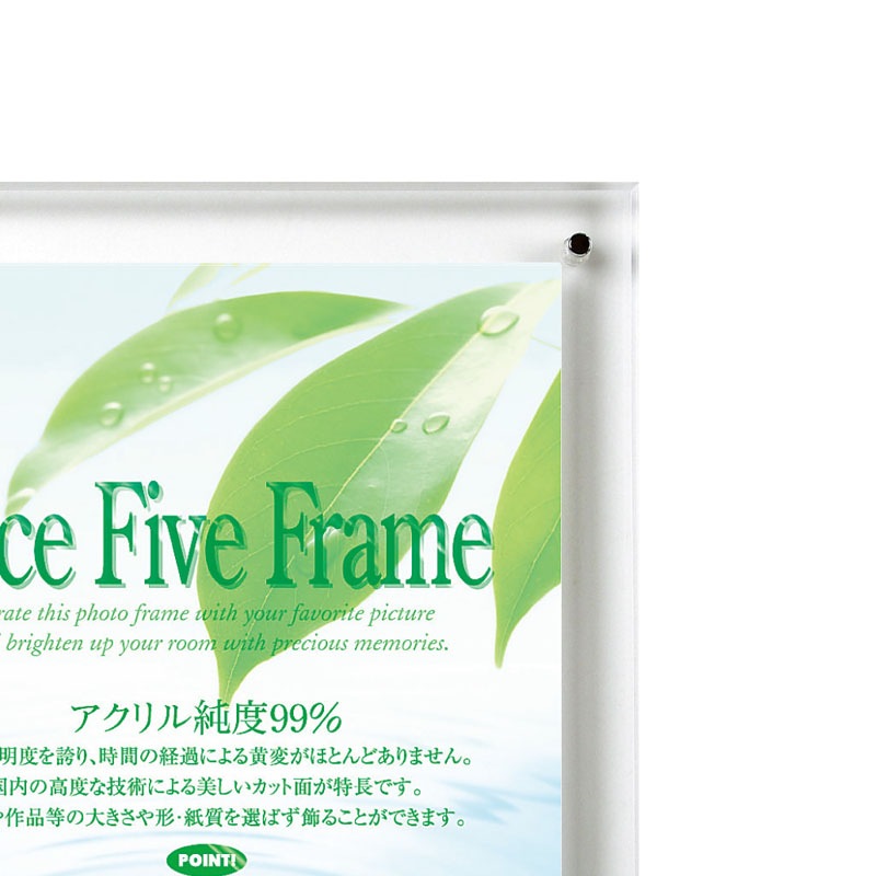 フォトフレーム フェイスファイブフレーム クリア B-4の通販｜東京
