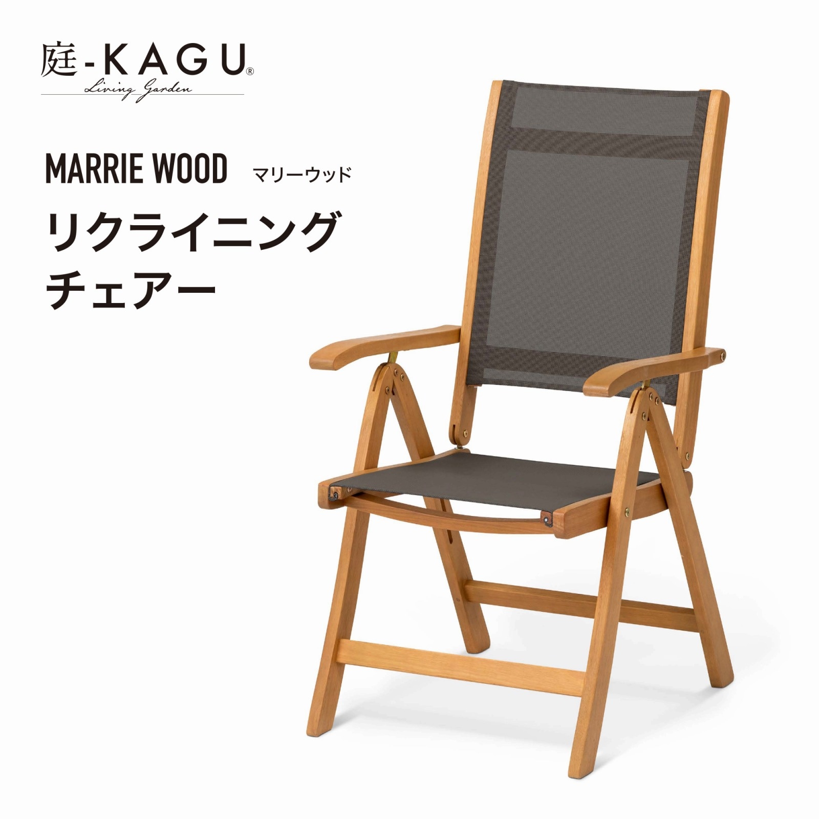 6_000000004375.jpg?1704780647