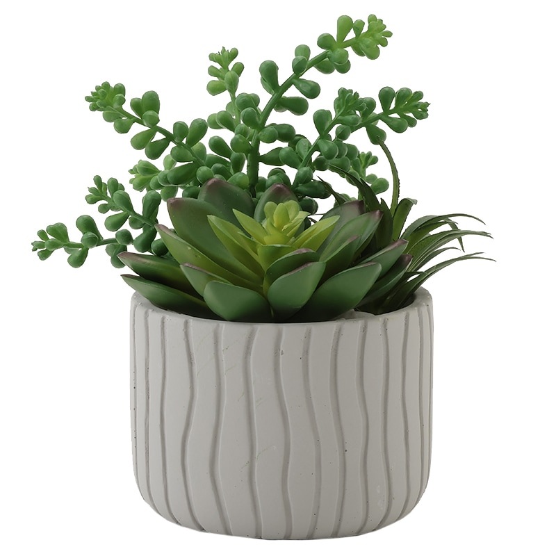 多肉植物 寄せ植え (男前フェイク多肉) fit=scale-down,w=1200