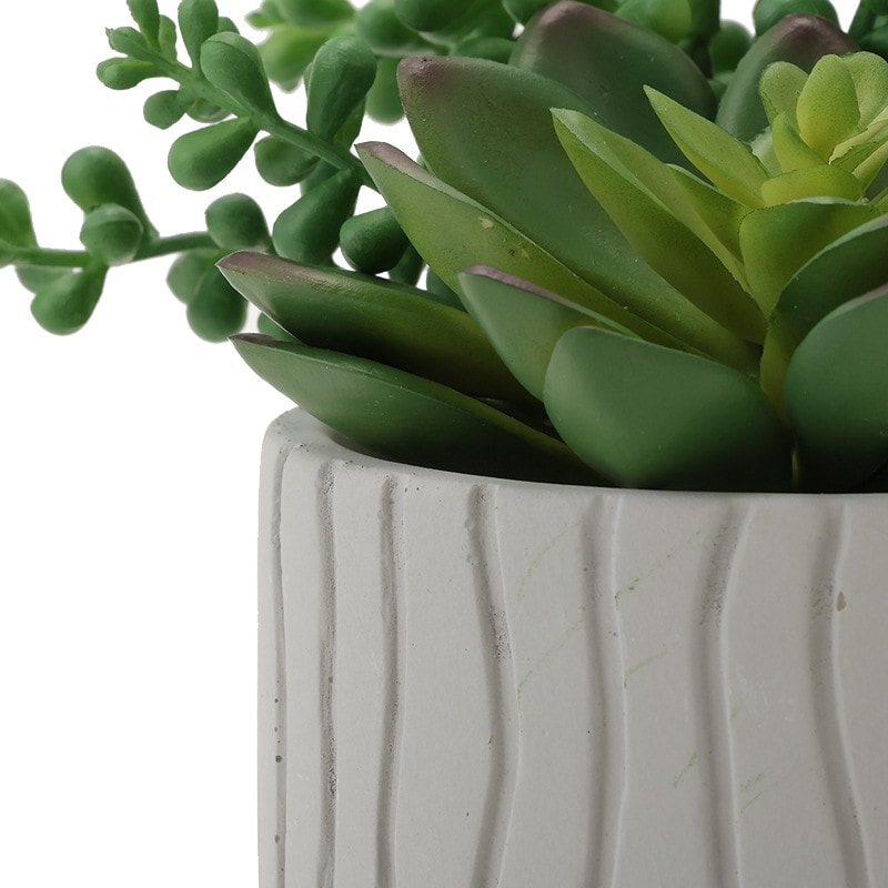 インテリアグリーン 多肉 セメント寄せ植え ウェーブ BF-1803315 の