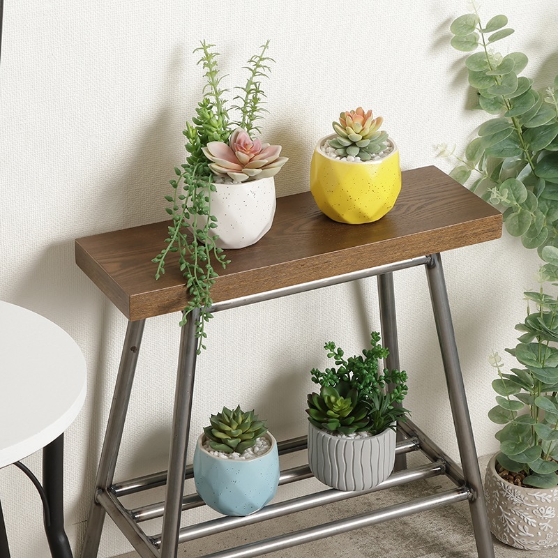 インテリアグリーン 多肉 セメント寄せ植え ウェーブ BF-1803315