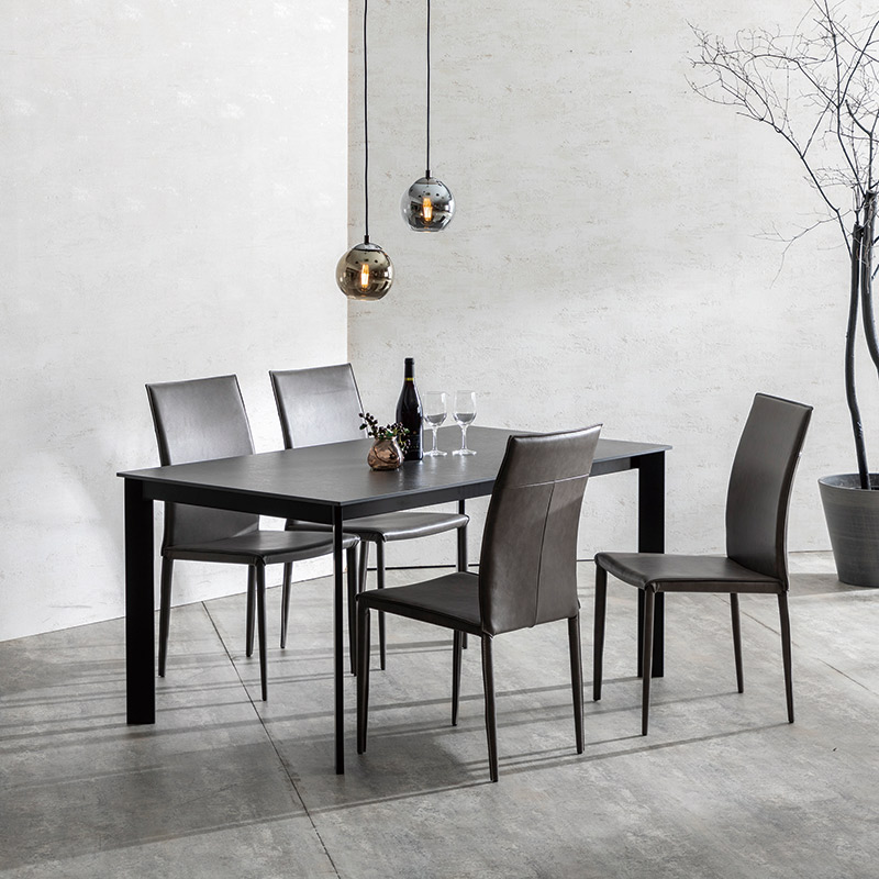 東京インテリア ダイニングチェア VEIN イタリアモダン 和モダン NZ