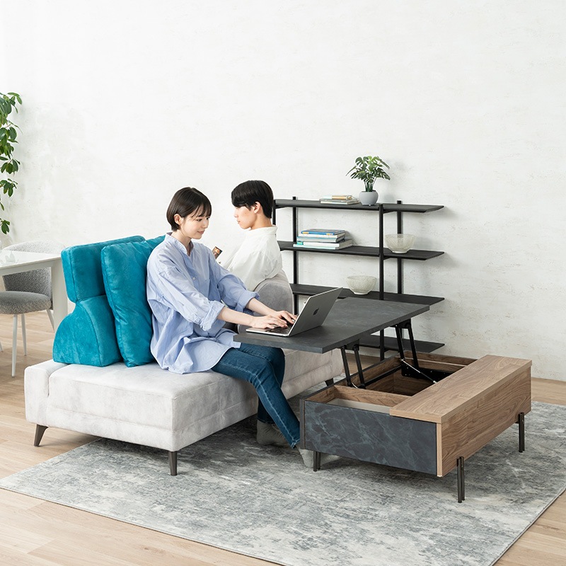ソファ ZAG NSL16ベース SD/HD SD7/MLBK+MOVE BACK F7W SD7＋置き