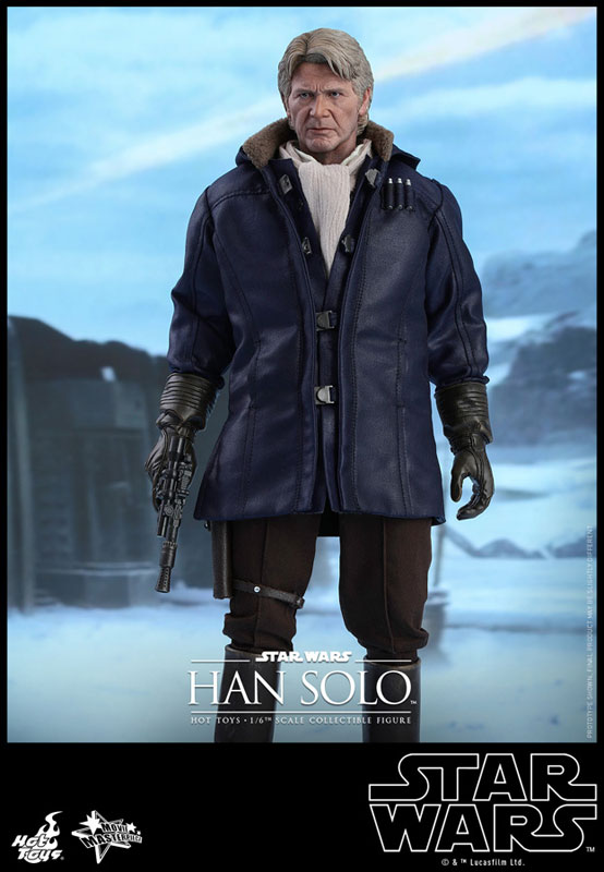 �ࡼ�ӡ����ޥ������ԡ��� �ե������γ��� 1/6�ϥ󡦥���