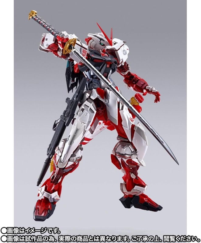 METAL BUILD ������ॢ���ȥ쥤 ��åɥե졼�� -PROJECT ASTRAY-
