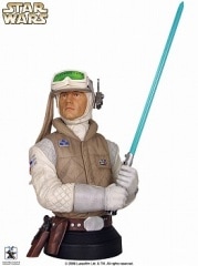 STAR WARS ルーク・スカイウォーカー ミニバスト ミニバスト ルーク・スカイウォーカー ホスVer.