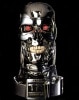 ターミネーター2 エンドスカル ライフサイズバスト ノーマル 再生産|ターミネーター