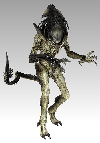 ムービー・マスターピース 1/6 AVP-R プレデリアン