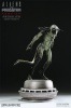 AVP2 プレデリアン コンセプトマケット