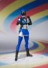 S.H.フィギュアーツ アキバブルー