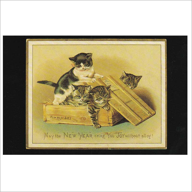 1907年 アンティーク クリスマス 猫 柊 ヒイラギ ポストカード