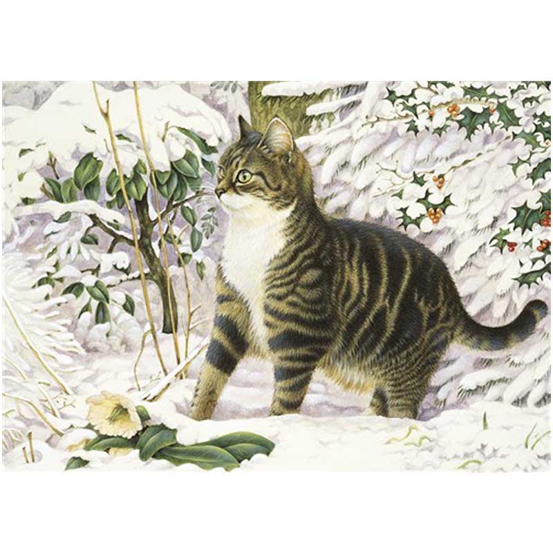 レズリーアンアイボリー 猫の輸入グリーティングカード封筒付 Malteaser in the snow