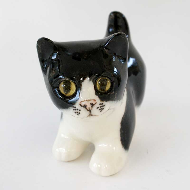 可愛い白黒のハチワレ猫、ウィンスタンレイキャット(ケンジントン