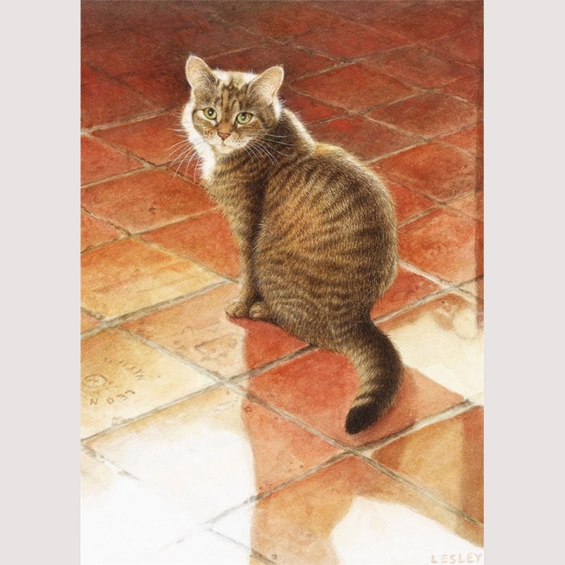 レズリーアンアイボリー 猫の輸入グリーティングカード封筒付 Christie in early morning sunshine