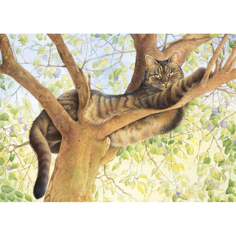 レズリーアンアイボリー 猫の輸入グリーティングカード封筒付 Muppet in the damson tree