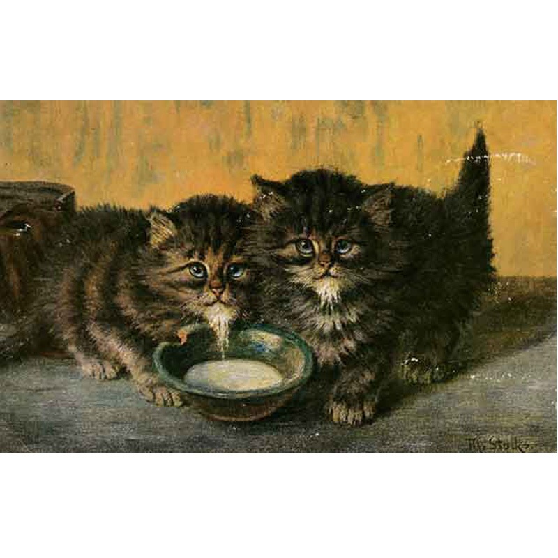 猫のアンティークポストカード　ミルクを飲む2匹の子猫　1903年消印
