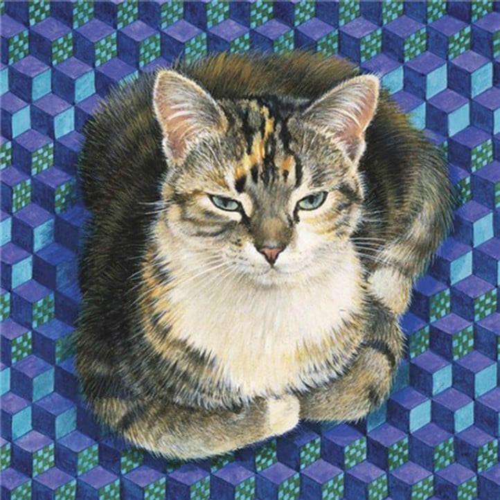 レズリーアンアイボリー 猫の輸入グリーティングカード封筒付 Sheena on block patchwork