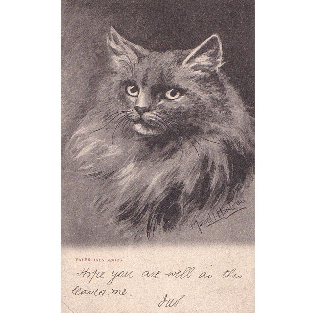 猫の肖像画のポストカード　Muriel Hunt　Valentines Series 1905年